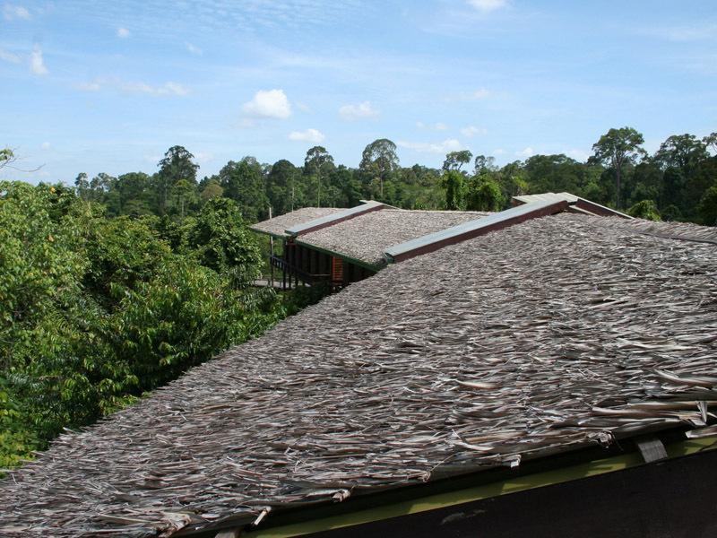 Paganakan Dii Tropical Retreat Sepilok Habitación foto